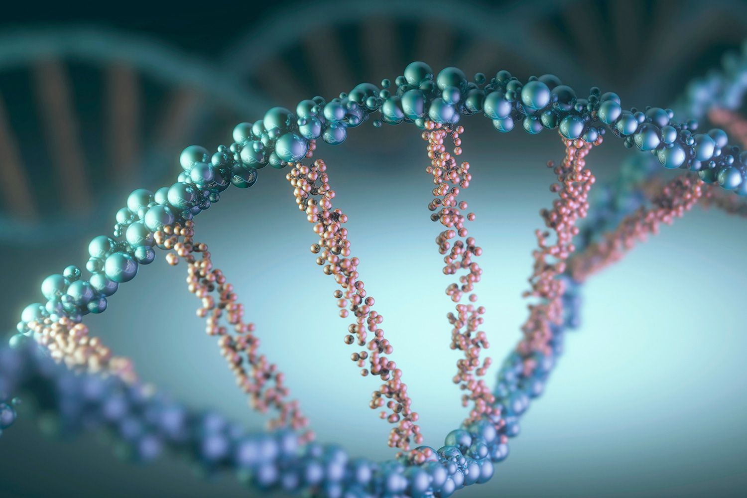 Anti-aging innovation